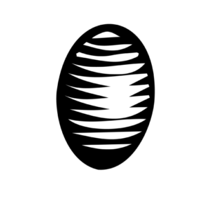 cropped-Artboard-18.png